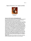 Document thumbnail